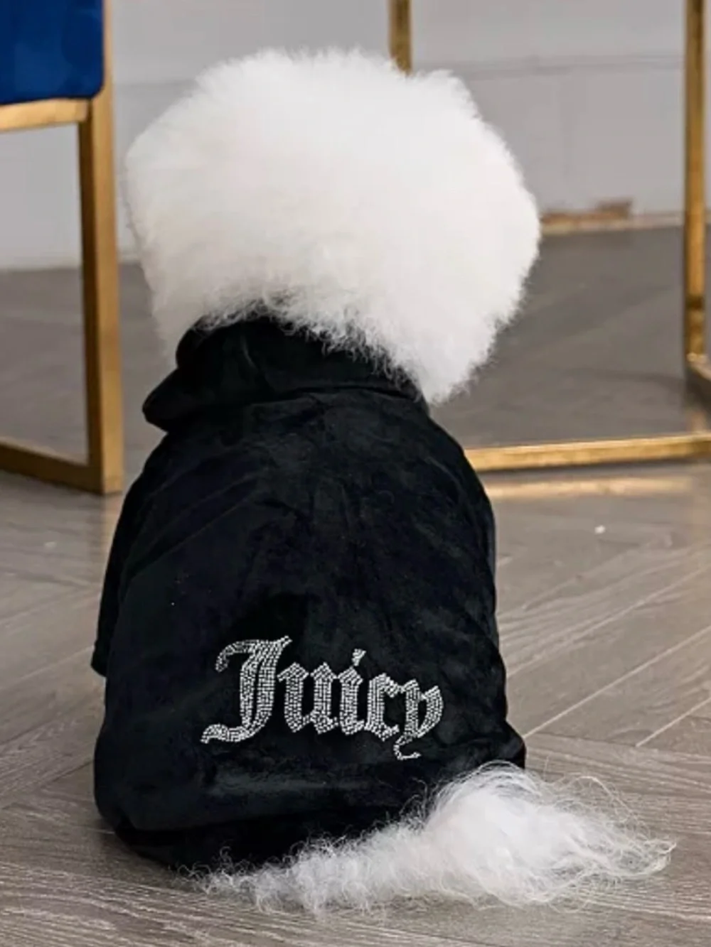 NWT Juicy Couture Bling Velour Dog Hoodie Shirt Medium / Large Red Velvet Sequin